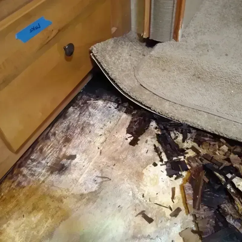 Wood Floor Water Damage in Cherokee, NC